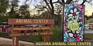 Agoura Animal Care Center