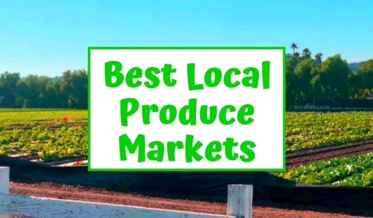 Read more about the article Locally Grown Produce: 3 Yummy Alternatives for Ultimate Freshness