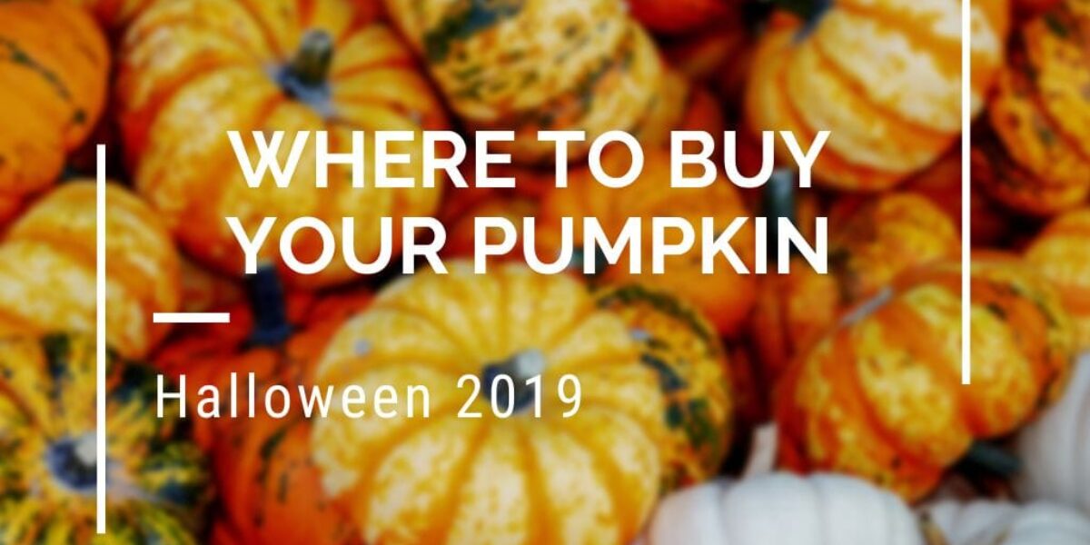 Where to Buy Your Pumpkin – Halloween in Ventura County CA