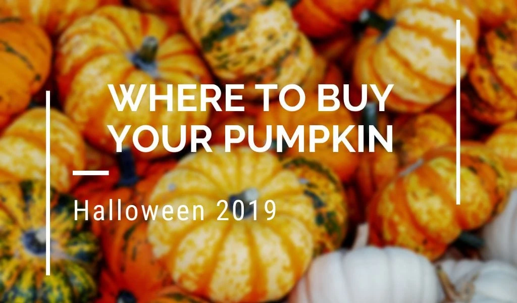 Read more about the article Where to Buy Your Pumpkin – Halloween in Ventura County CA