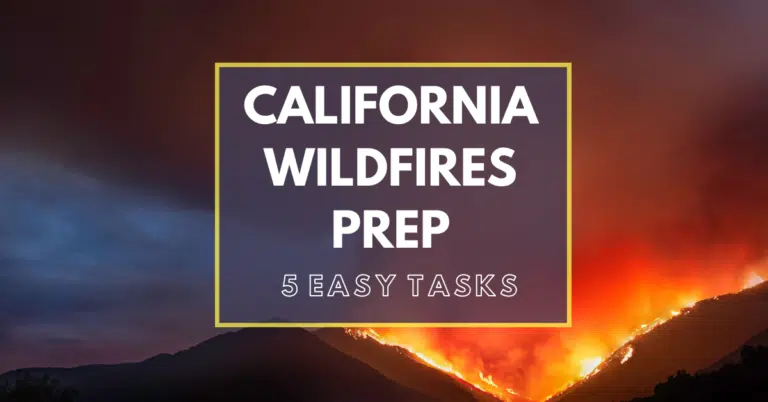 Read more about the article Dreaded California Wildfires: 5 Essential Preps