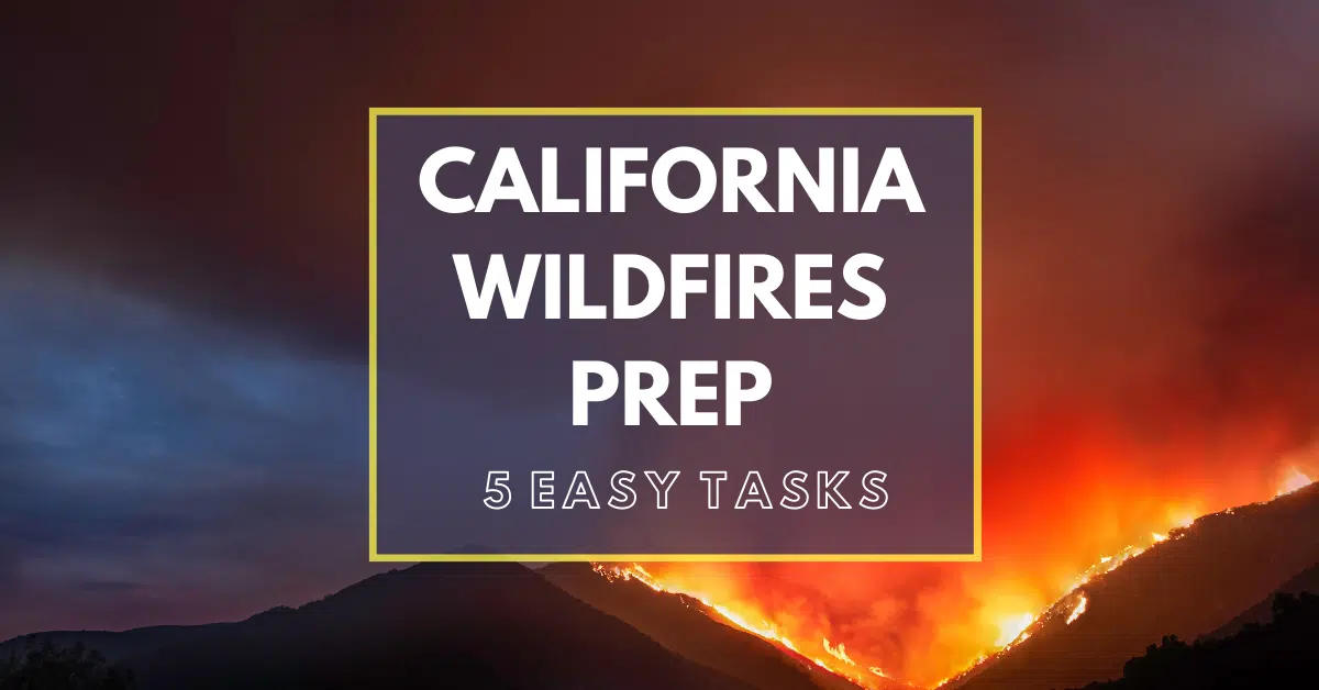 You are currently viewing Dreaded California Wildfires: 5 Essential Preps