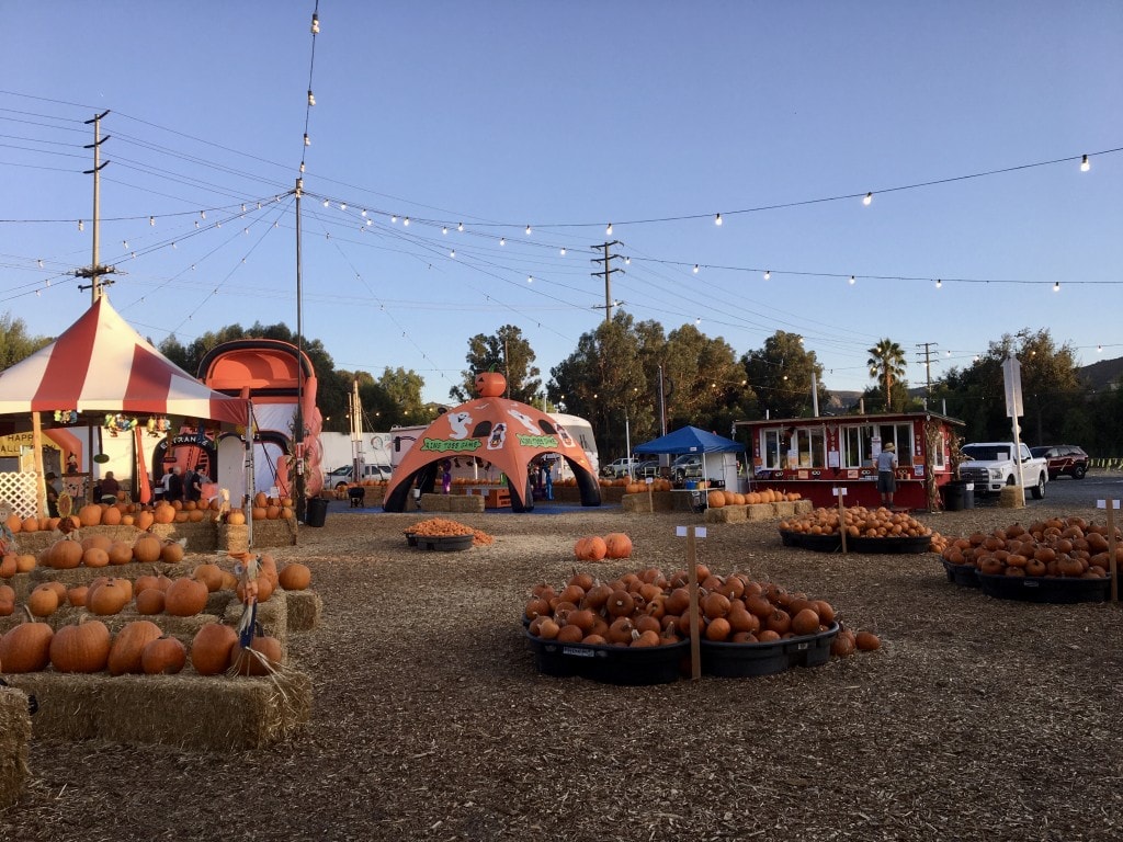 Pumpkin stand Adventures 4 Judy Burke 1