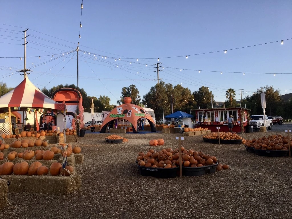 Pumpkin stand Adventures 4 Judy Burke 1