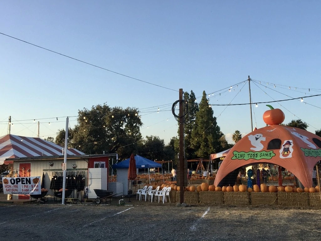 Pumpkin stand Adventures Judy Burke 2