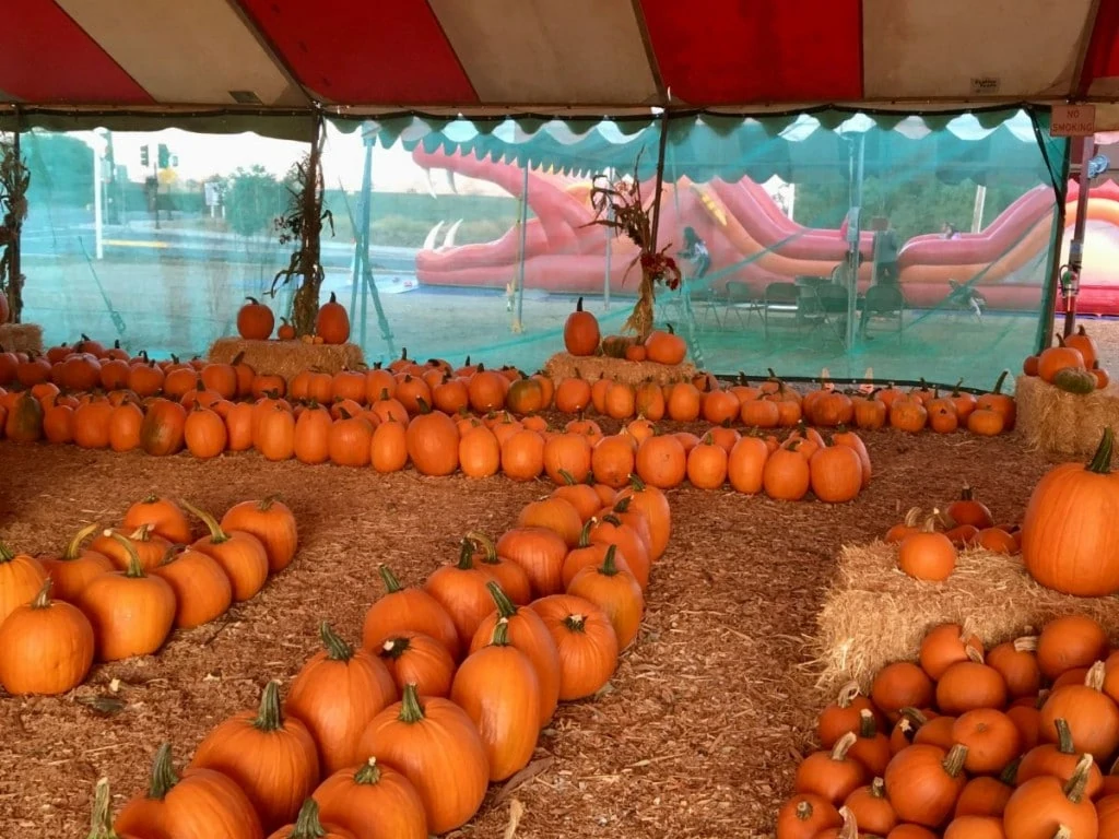 Pumpkin stand Bennetts Best inside Judy Burke 2