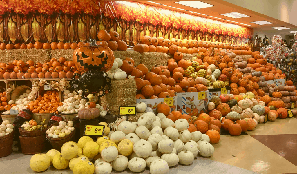 Pumpkins Albertsons Front display 1 Judy Burke